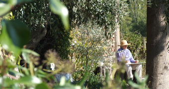 Bernice Strawn sketching cactus