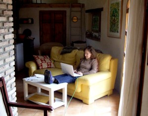 Nancy Tomasetti at work in The Gallinero