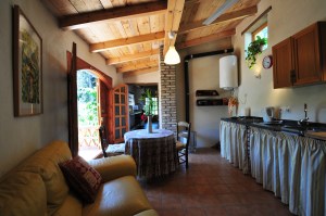 El Gallinero, looking through the kitchen/sitting room past the French doors to the terrace into the bedroom/workroom.