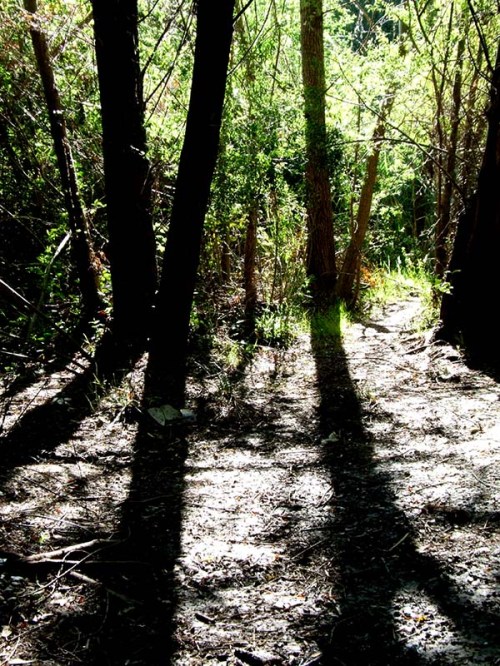 Maureens World 07/2014