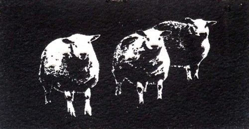 Kate Gordon Scotland