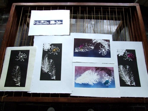 Nevine Sultana prints